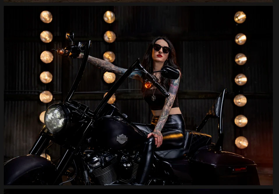 The Original Diablo Triangle Sissy Bar Pads - Image 7