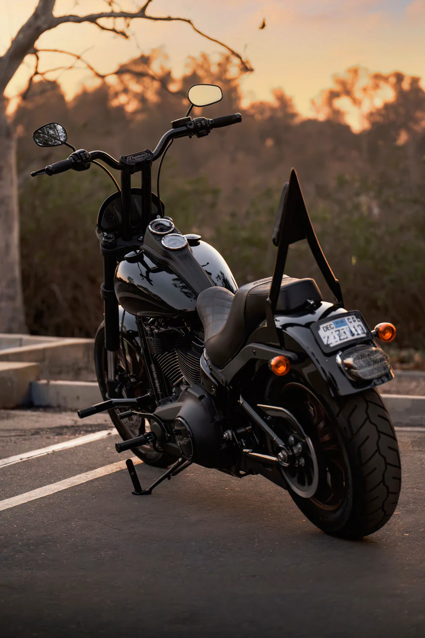 The Original, patented, 16" Diablo Sissy Bar for 2020 and newer Low Rider S and ST Models (Gloss Black) - Image 17